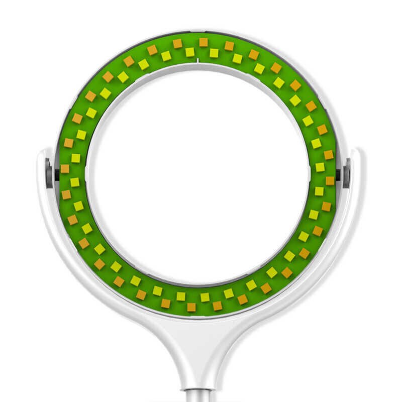 HEPTEKİLETİŞİM F-537 30 Cm Işıklı Telefon Tutucu Ring Light