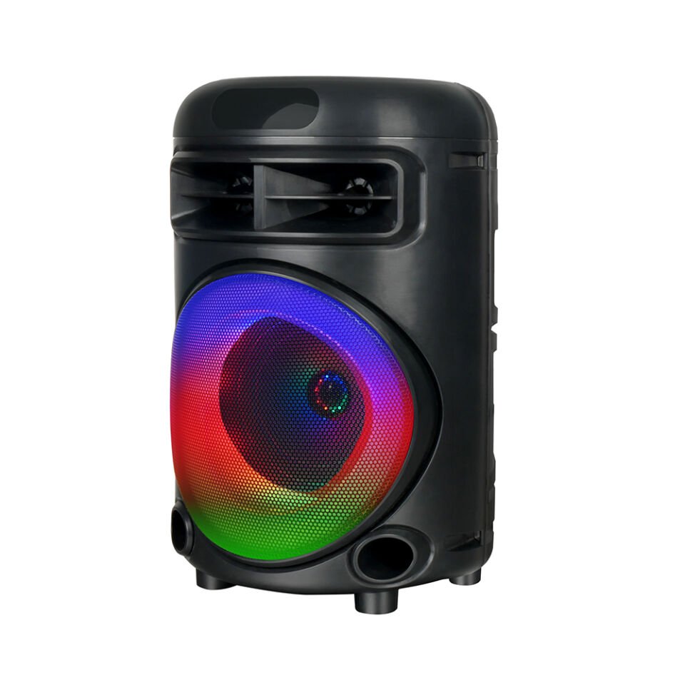 HEPTEKİLETİŞİM GD-692 FM Radyolu Mikrofonlu RGB TWS 6.5 inç Stereo Bass Kablosuz Karaoke Hoparlör