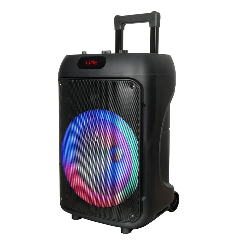 HEPTEKİLETİŞİM GD-1203 Dijital LED Göstergeli FM Radyolu Mikrofonlu RGB TWS 12 inç Stereo Bass Kablosuz Karaoke Hoparlör