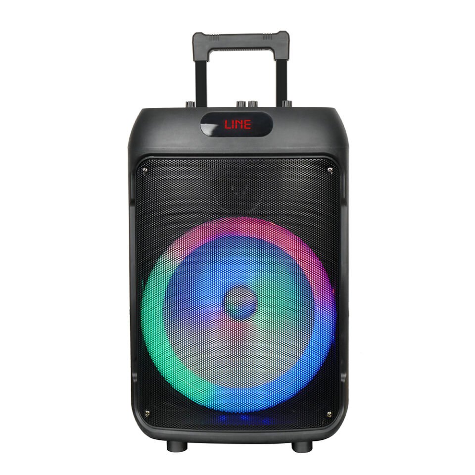 HEPTEKİLETİŞİM GD-1203 Dijital LED Göstergeli FM Radyolu Mikrofonlu RGB TWS 12 inç Stereo Bass Kablosuz Karaoke Hoparlör