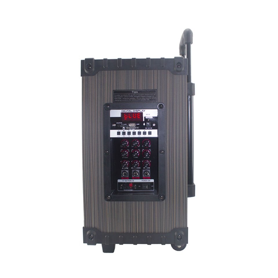 HEPTEKİLETİŞİM LT-908 Dijital LED Göstergeli FM Radyolu Mikrofonlu TWS 8 inç Stereo Bass Kablosuz Karaoke Hoparlör