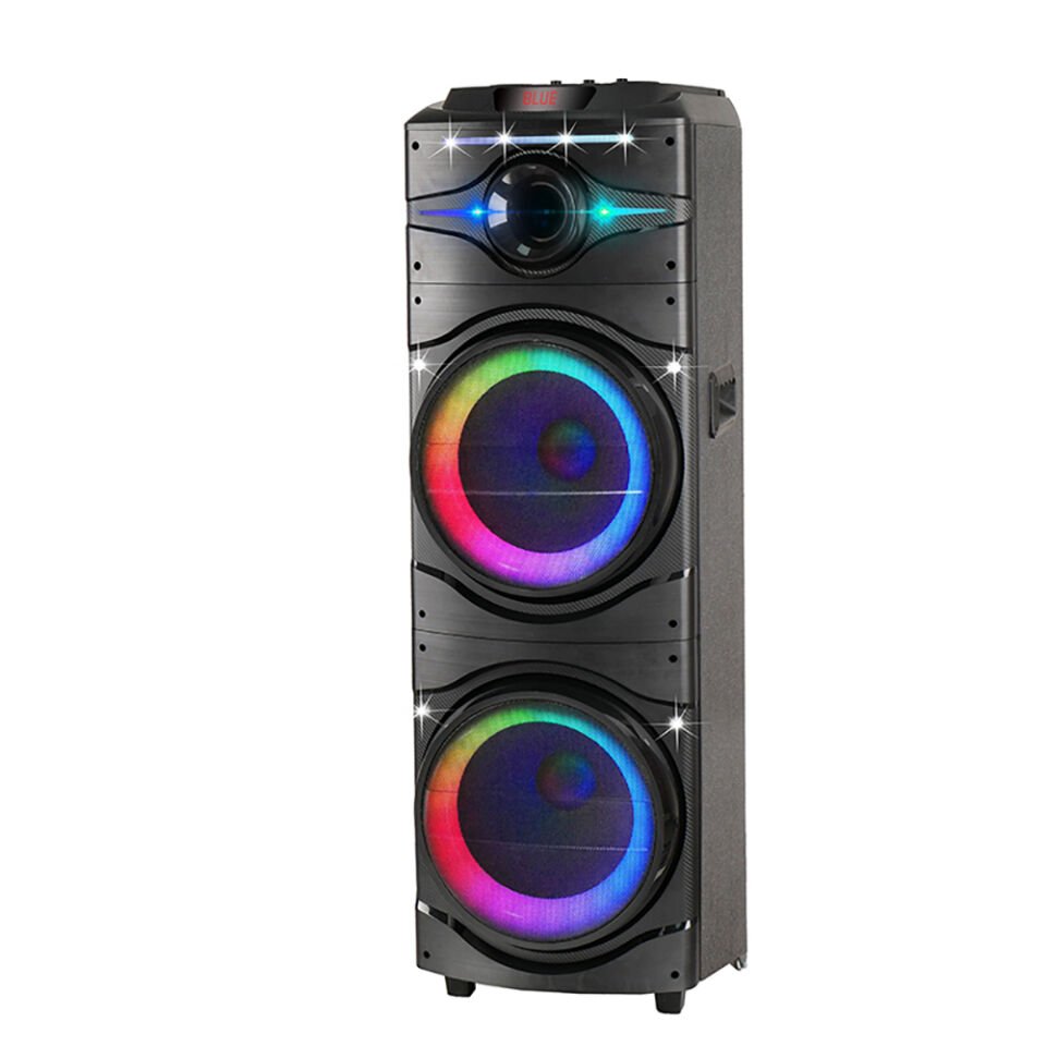 HEPTEKİLETİŞİM GD-2016 Dijital LED Göstergeli FM Radyolu Mikrofonlu RGB TWS Çift 12 inç Stereo Bass Kablosuz Karaoke Hoparlör