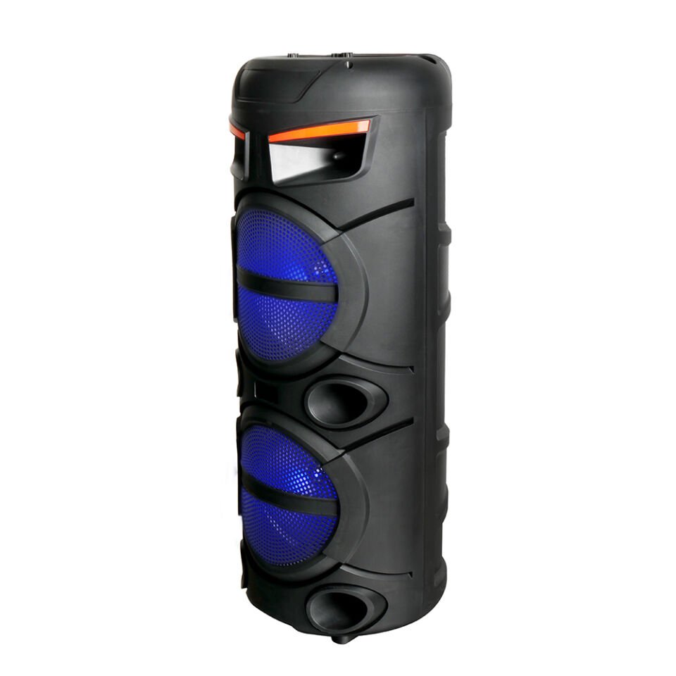 HEPTEKİLETİŞİM GD-2809 Dijital LED Göstergeli FM Radyolu Mikrofonlu RGB TWS Çift 8 inç Stereo Bass Kablosuz Karaoke Hoparlör