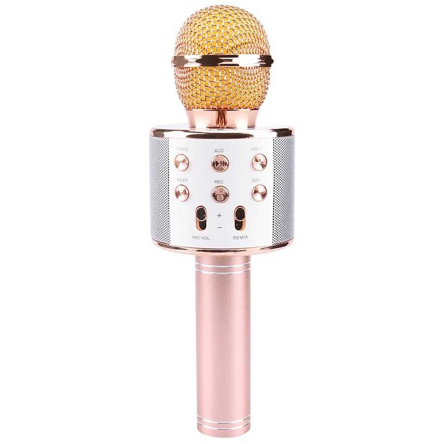 HEPTEKİLETİŞİM WS-858 Karaoke Mikrofon