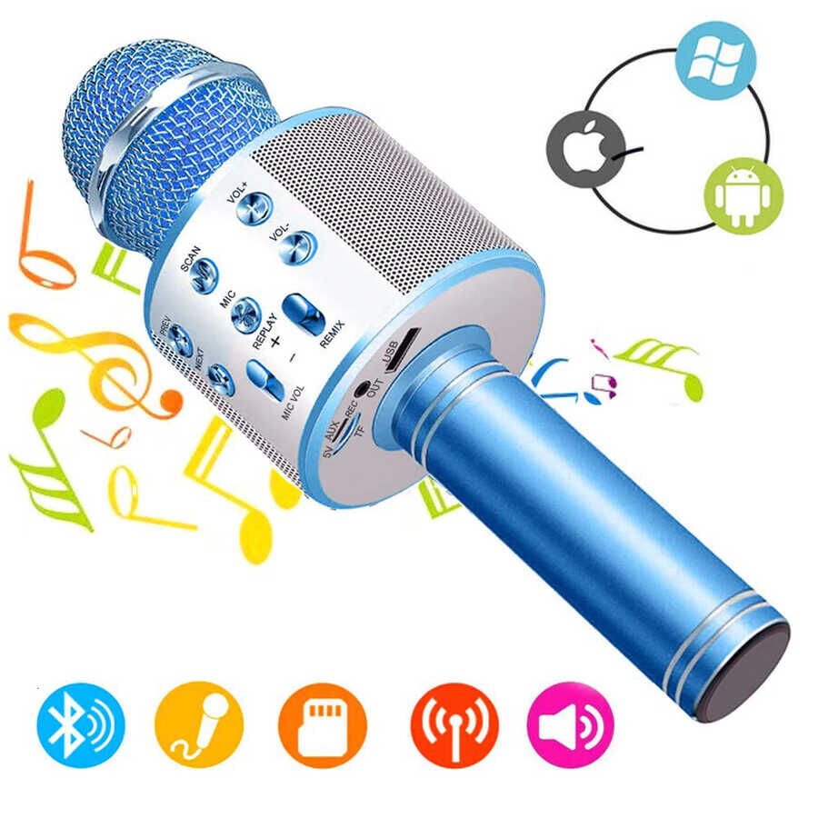 HEPTEKİLETİŞİM WS-858 Karaoke Mikrofon