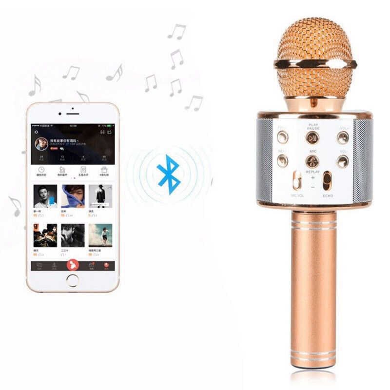 HEPTEKİLETİŞİM WS-858 Karaoke Mikrofon